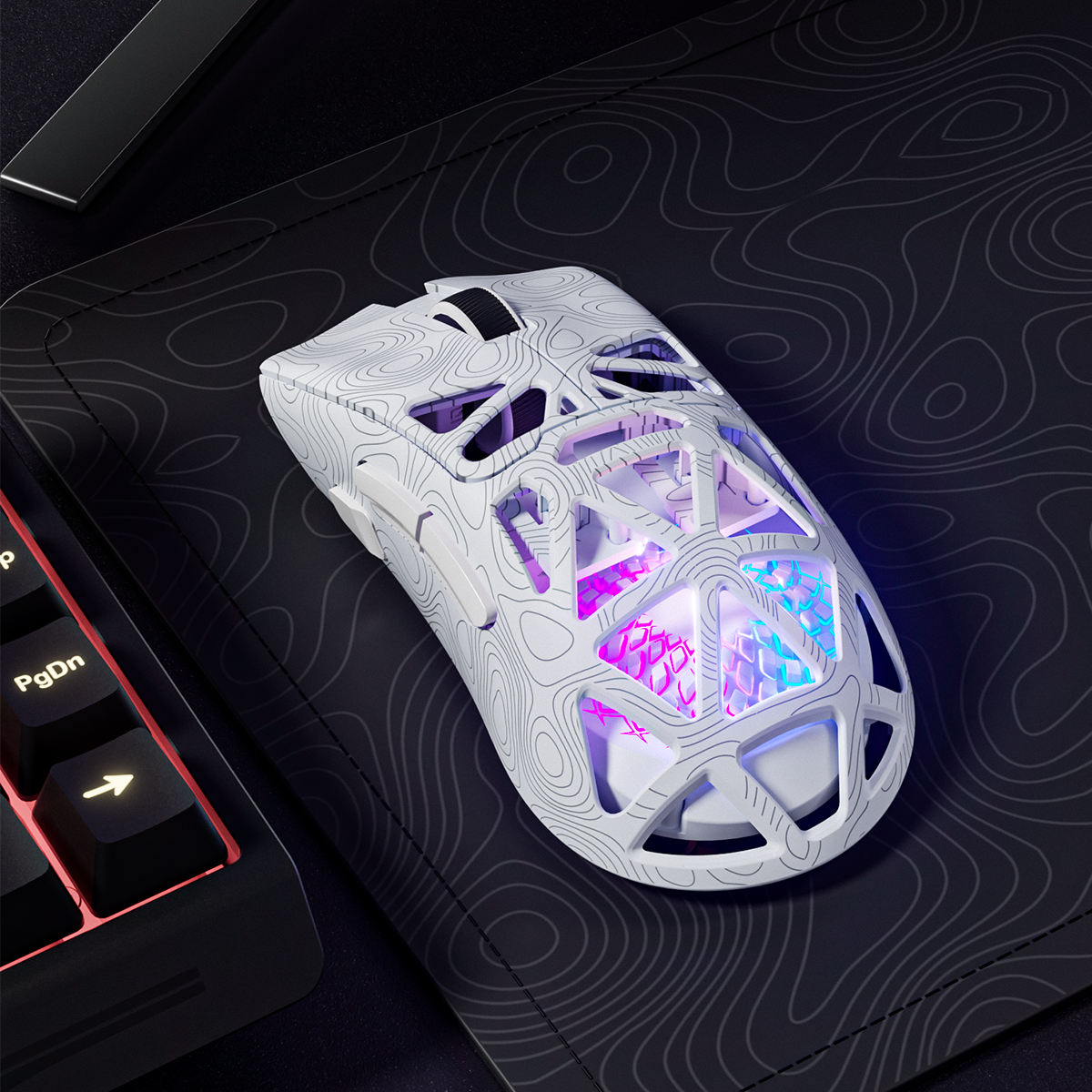 Mouse